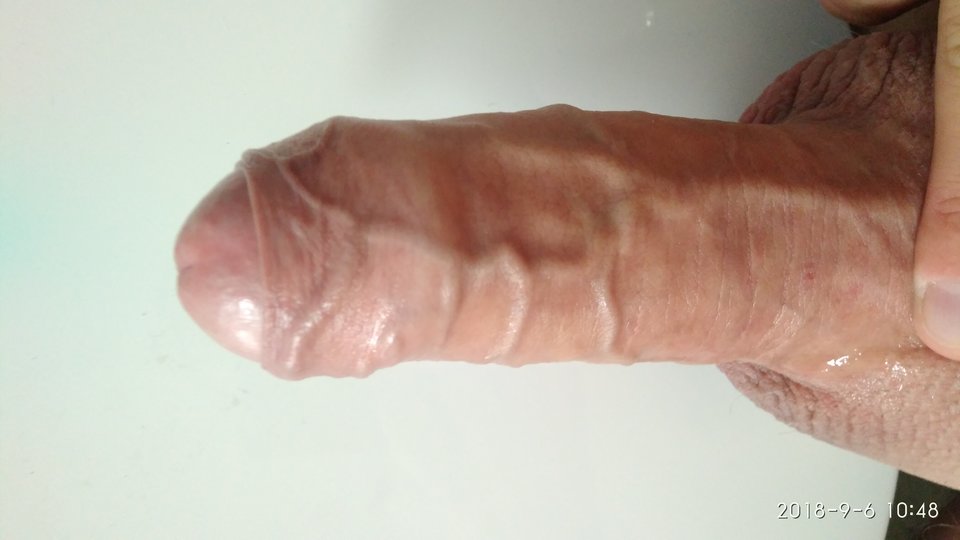 IMG_20180906_104847.jpg - tomania