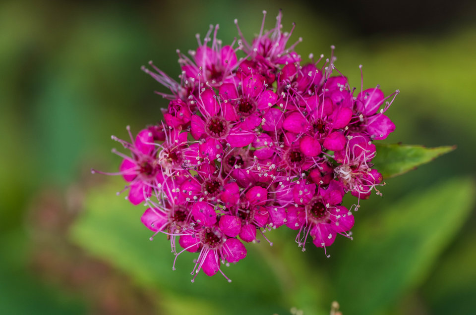 Małe jest piękne - mystic