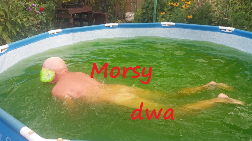 Gdynia - Morsy_dwa