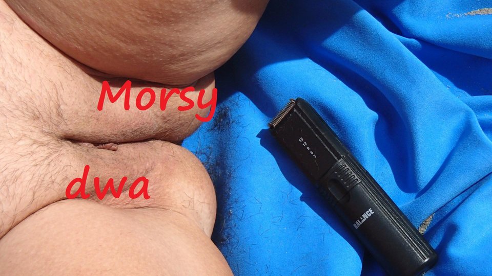 Plażowy relaks. - Morsy_dwa