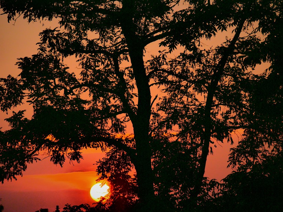 P1050355a.jpg - FoKam431