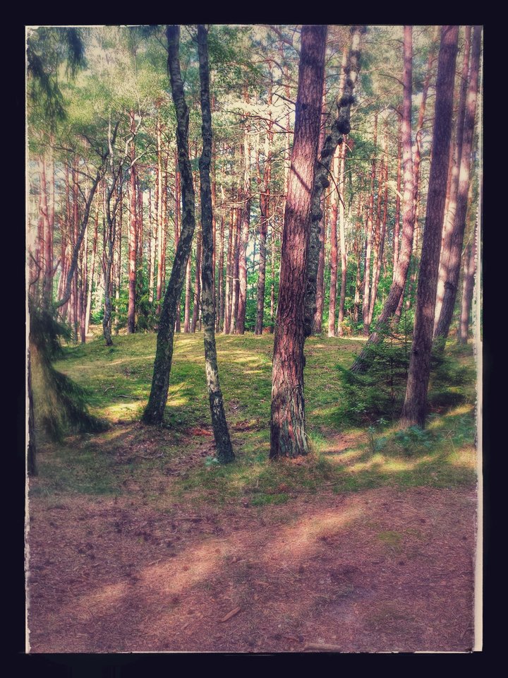 979B774D-7E45-43FC-9AD2-7747622FF620.jpeg - pawelsolt