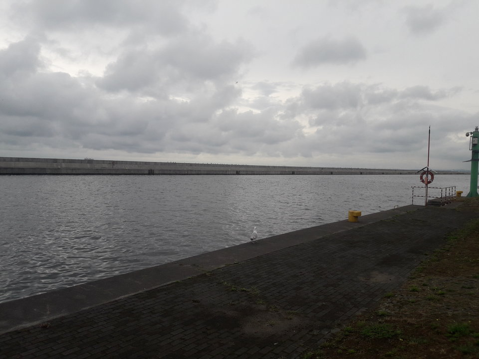 20180713_101340.jpg - WolnyBialystok