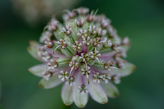 Rozmiar się nie liczy