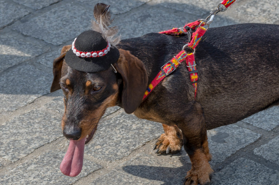W góralskim stylu - mystic