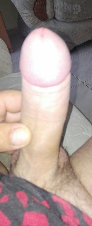 IMG_20180911_053515.jpg - norbi31