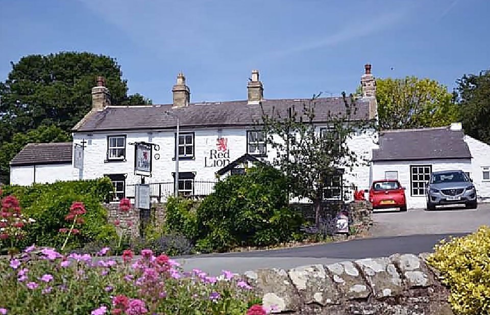 Red Lion.jpg - ika13