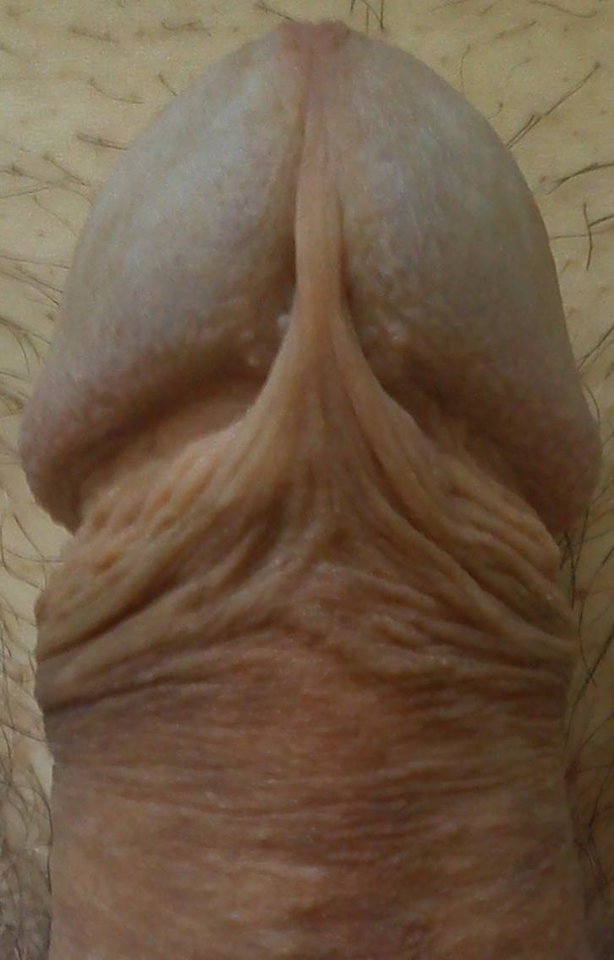 555.JPG - kajptanbomba