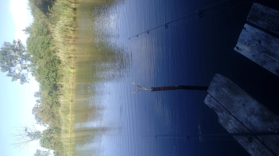 20180916_083932.jpg - Tomekialka22