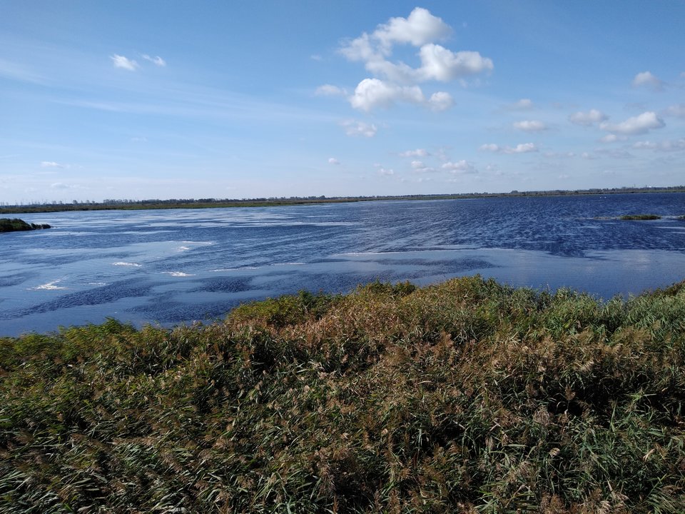 IMG_20180915_105626015.jpg - kostek1234