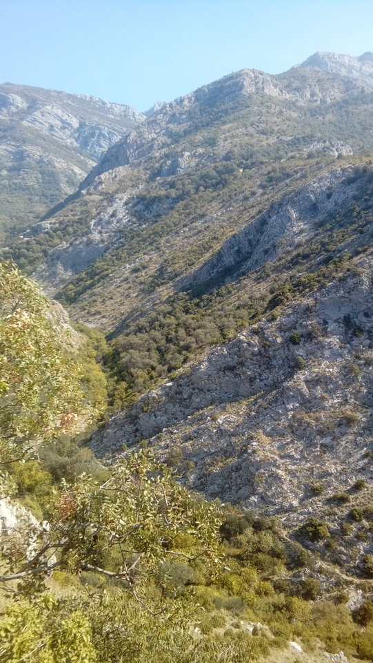 20180916_104653.jpg - Przemodkl79