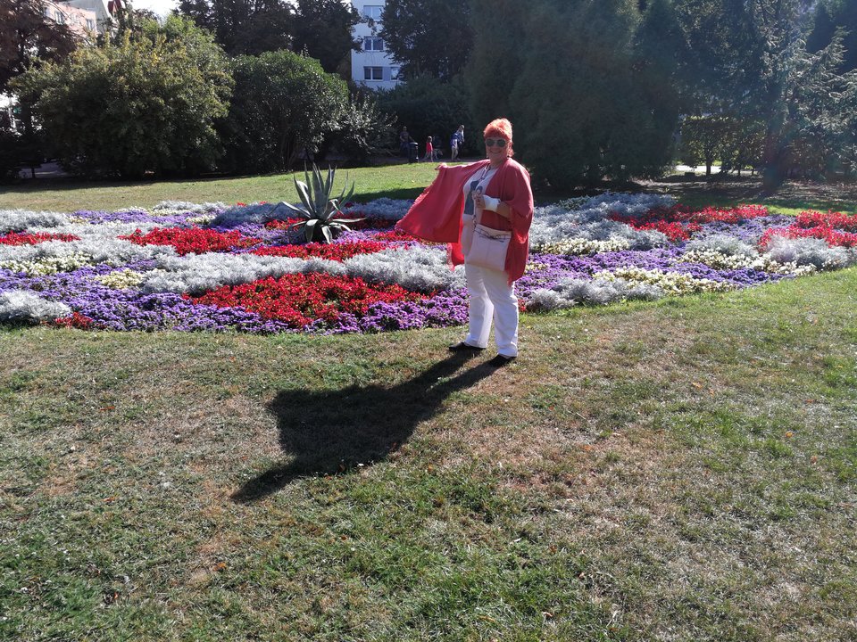 IMG_20180916_114346.jpg - faroamon6971