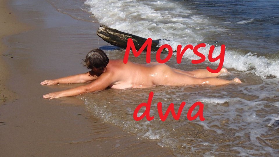 B.D. - Morsy_dwa