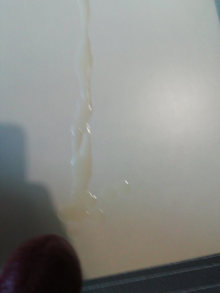 15371806472807570123585656412834.jpg - lickemydick