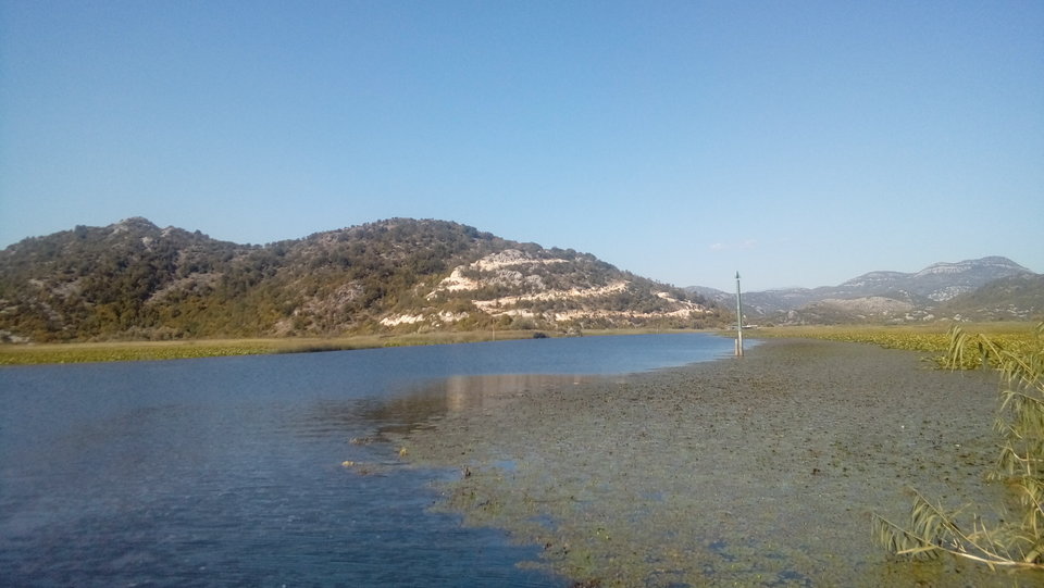 20180916_144140.jpg - Przemodkl79