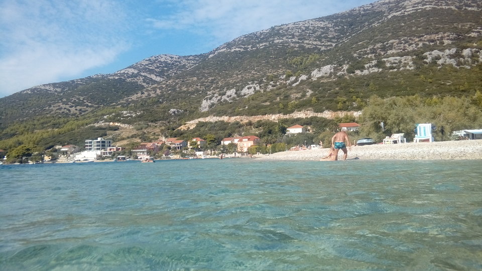 20180918_135431.jpg - Przemodkl79