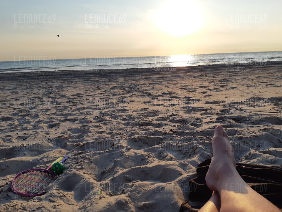 20180801_203110.jpg - leniwce69