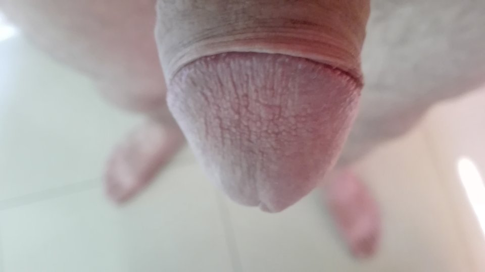 IMG_20180919_151334.jpg - FanPan1977