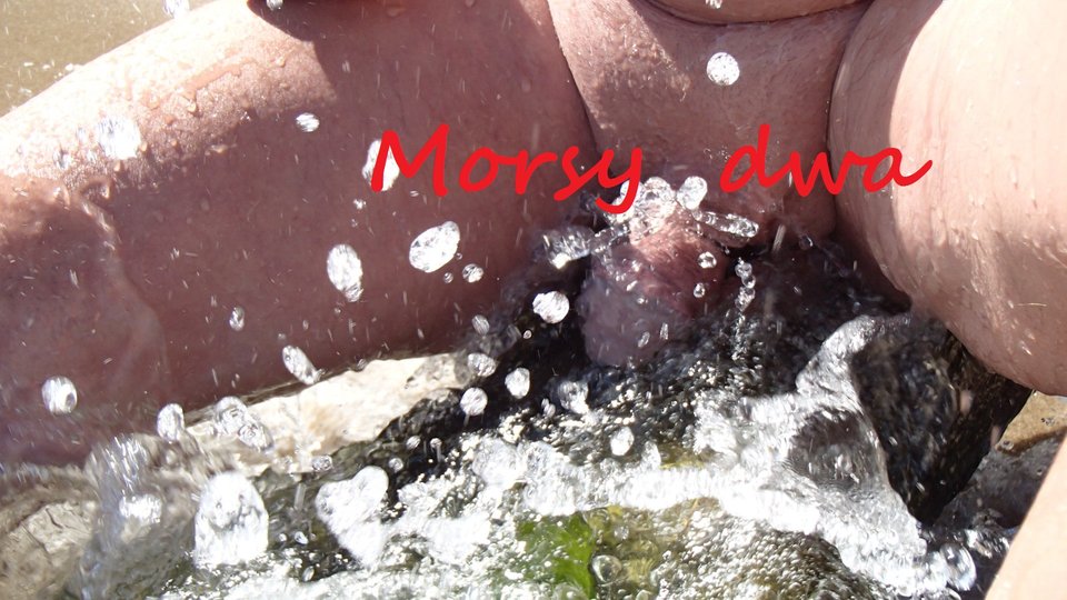 B. D. Wariacje na ................ - Morsy_dwa