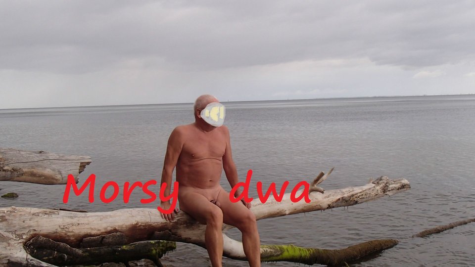 Plener - Morsy_dwa