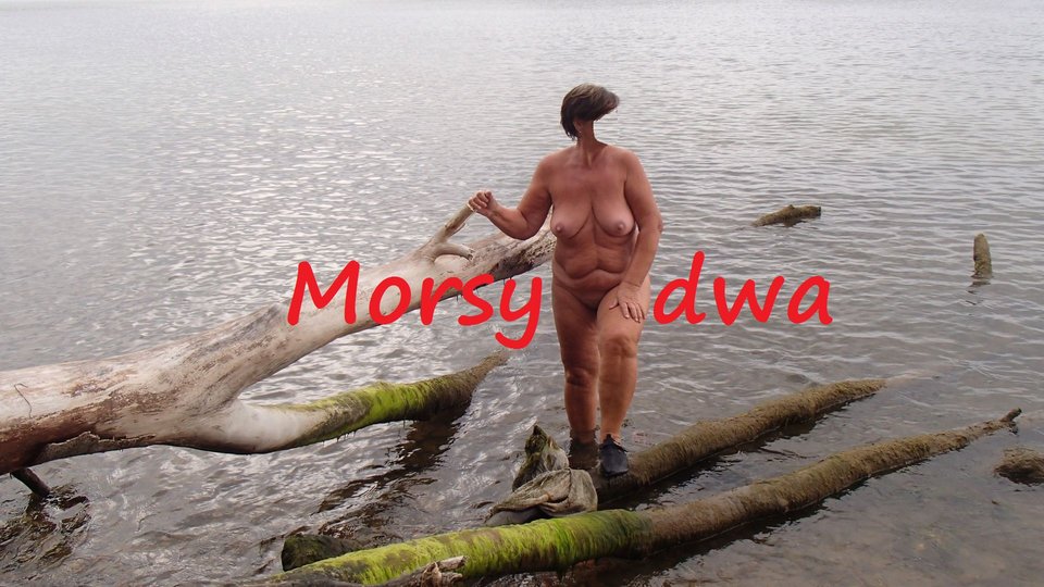 B.D. - Morsy_dwa