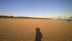 Dzika plaża