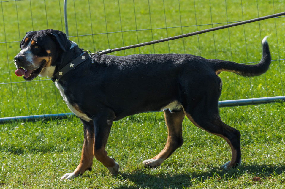 Piękny z natury - mystic