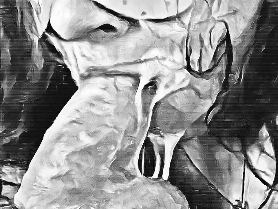 IMG_1875.jpg - SingleBoltWick