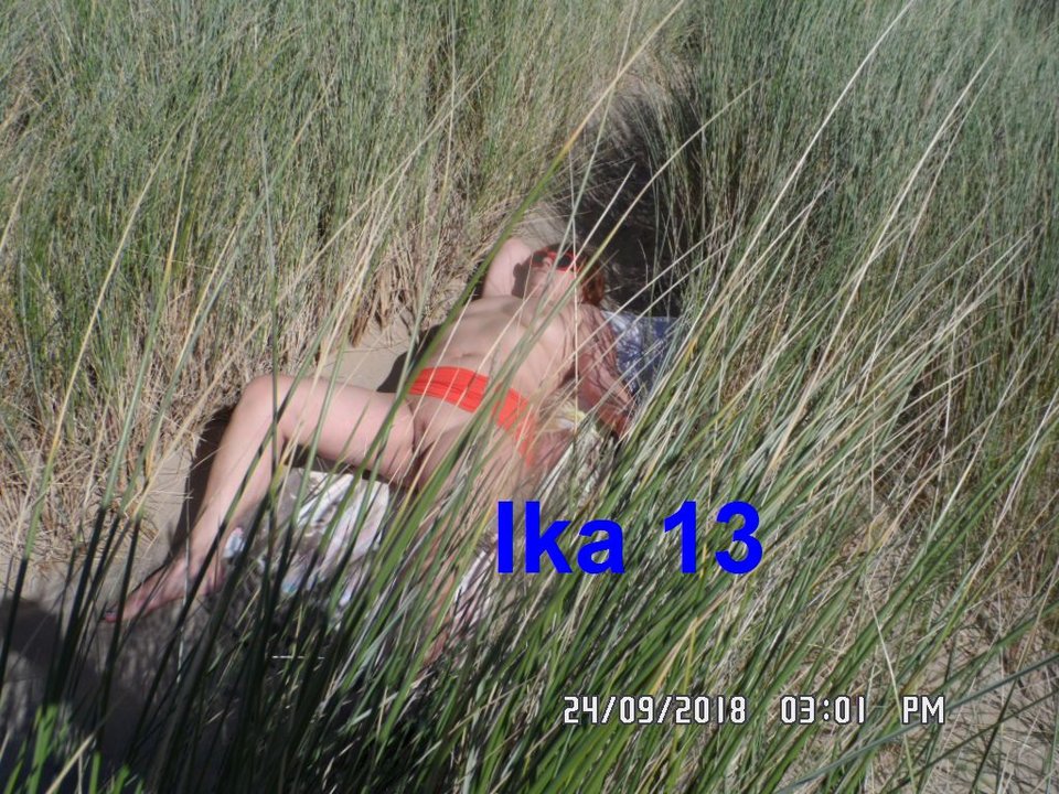 SAM_1672.jpg - ika13