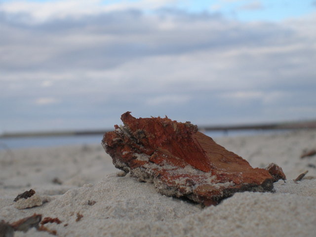 Obraz 002.jpg - ciekawiswiata5