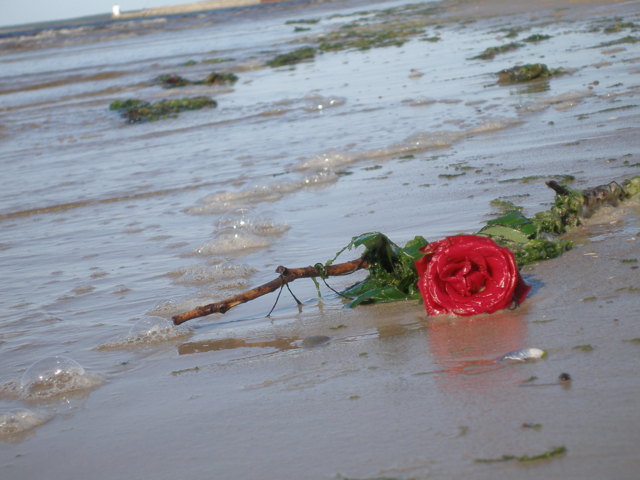 Obraz 003.jpg - ciekawiswiata5