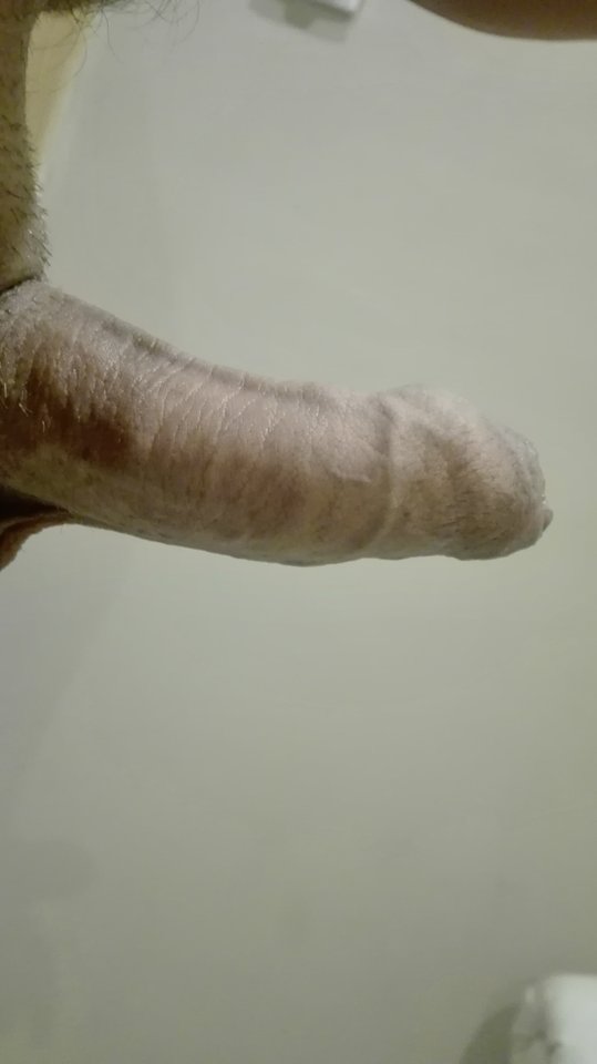 IMG_20180927_061821.jpg - FanPan1977