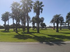 I nie myśl sobie Ciuchcia, że ja siedzę w domu🤗