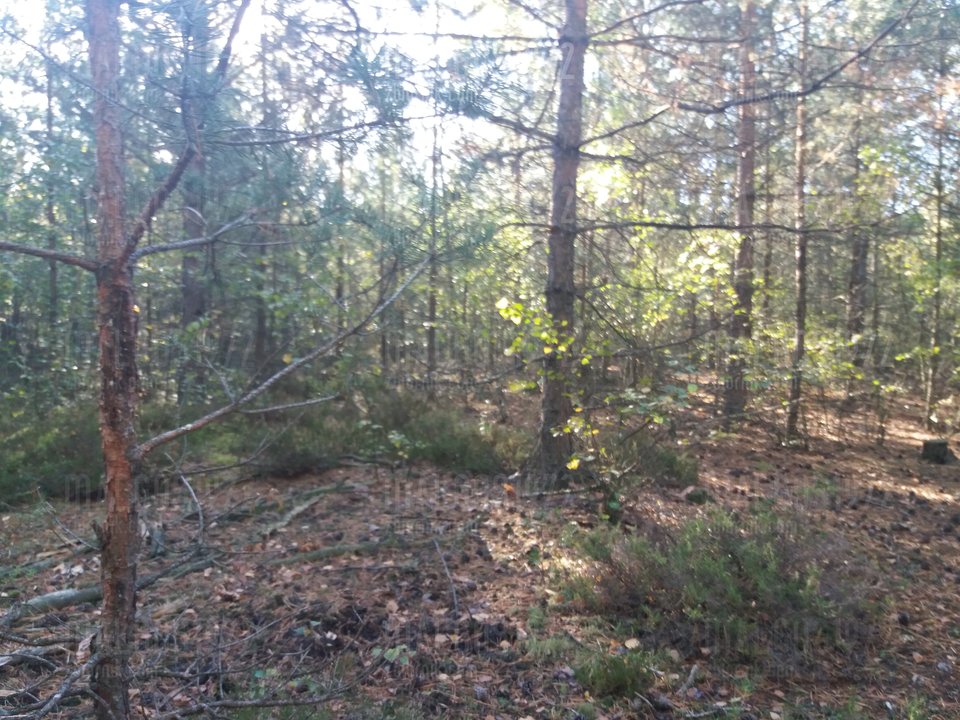 20180929_091255[1].jpg - malgos1972