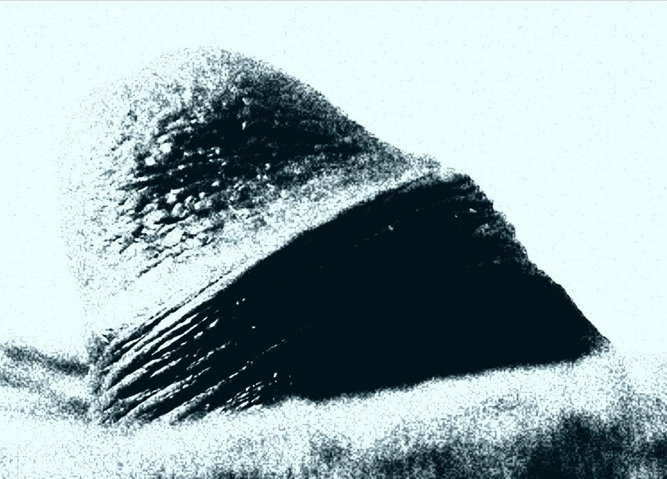 IMG_20180930_213236.jpg - Dziuracz