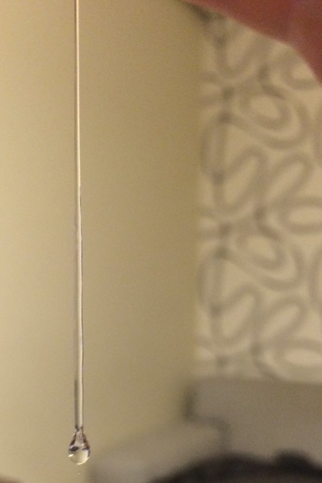 D0D7A3D8-D8A7-43AF-9CEC-B31A59B5C32E.jpeg - olaf69