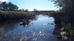 20180930_113433.jpg