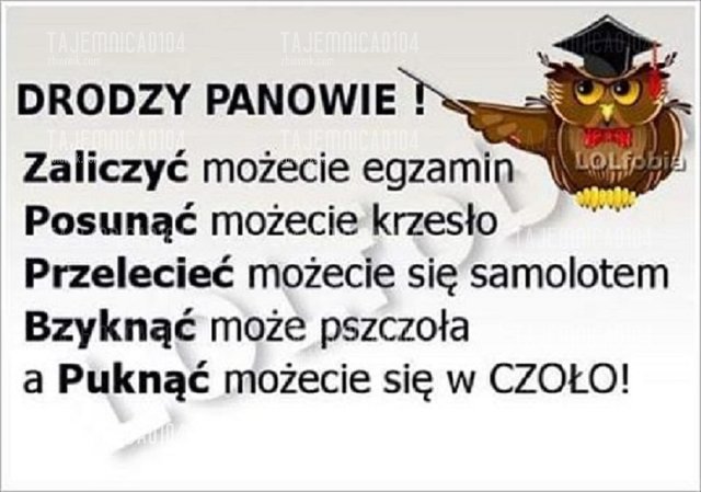 13902733_1770246453220046_3388872444452708763_n.jpg - Tajemnica0104