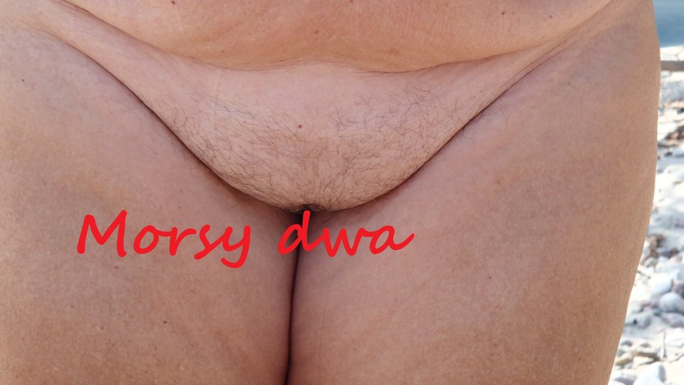 Letnie remanenty II. - Morsy_dwa