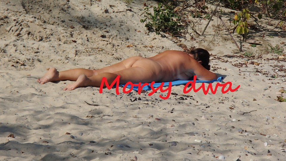 Letnie remanenty II. - Morsy_dwa