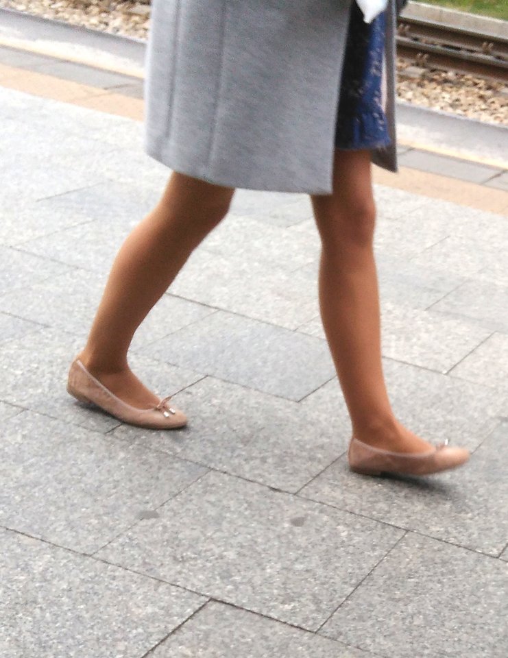 IMG_201810044306kl.jpg - AGALA