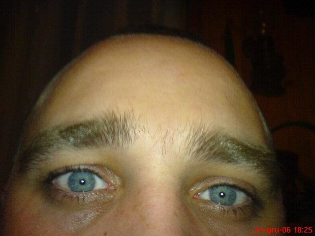 561769_455346997851323_834466138_n.jpg - dramer80