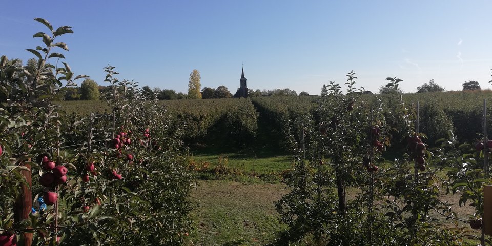 IMG_20181006_111957.jpg - adam1508