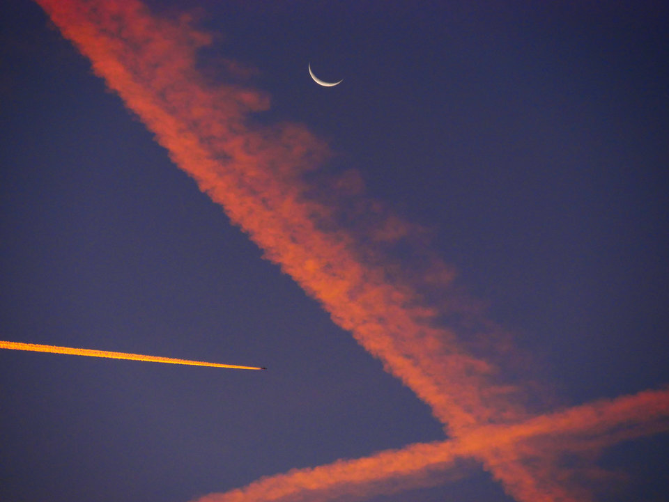 _1050644.jpg - FoKam431