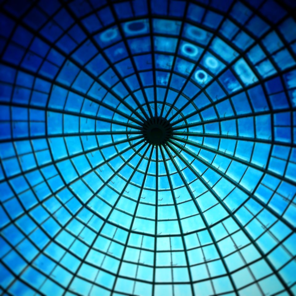 14011D2D-089C-4C77-A95E-78B24FFD414A.jpeg - Mekagojiranogyakushu