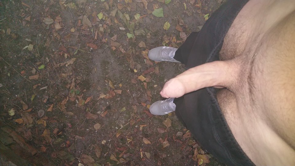 DSC_0039.JPG - 85kubi