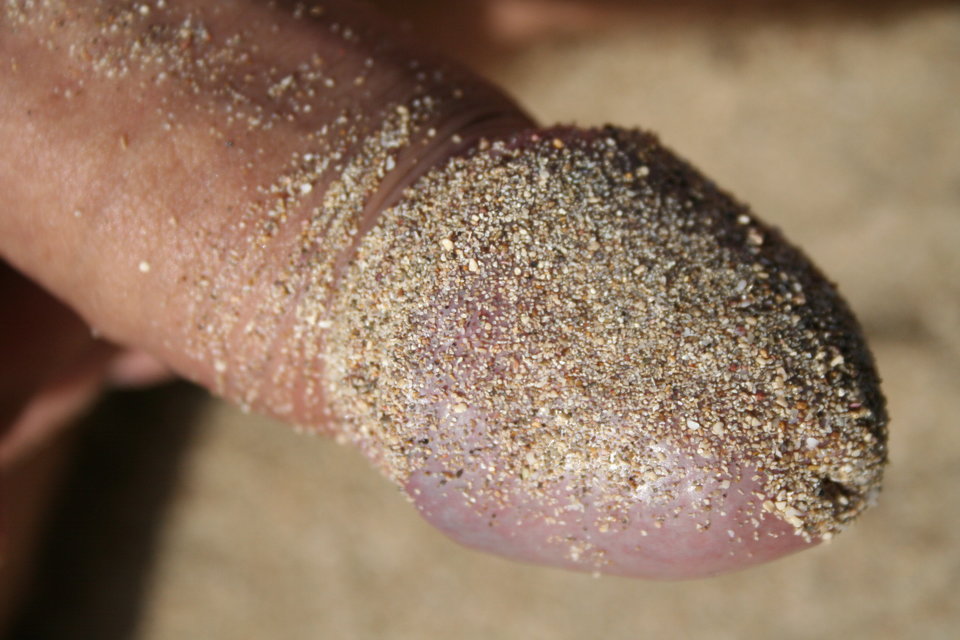 IMG_8860.JPG - Bercik_77