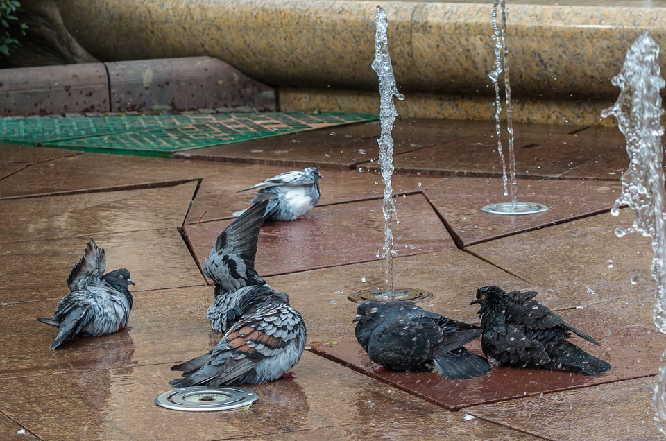 Aquapark ;) - mystic