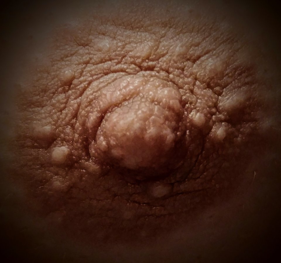 20181008_234555-1.jpg - Gearonimo