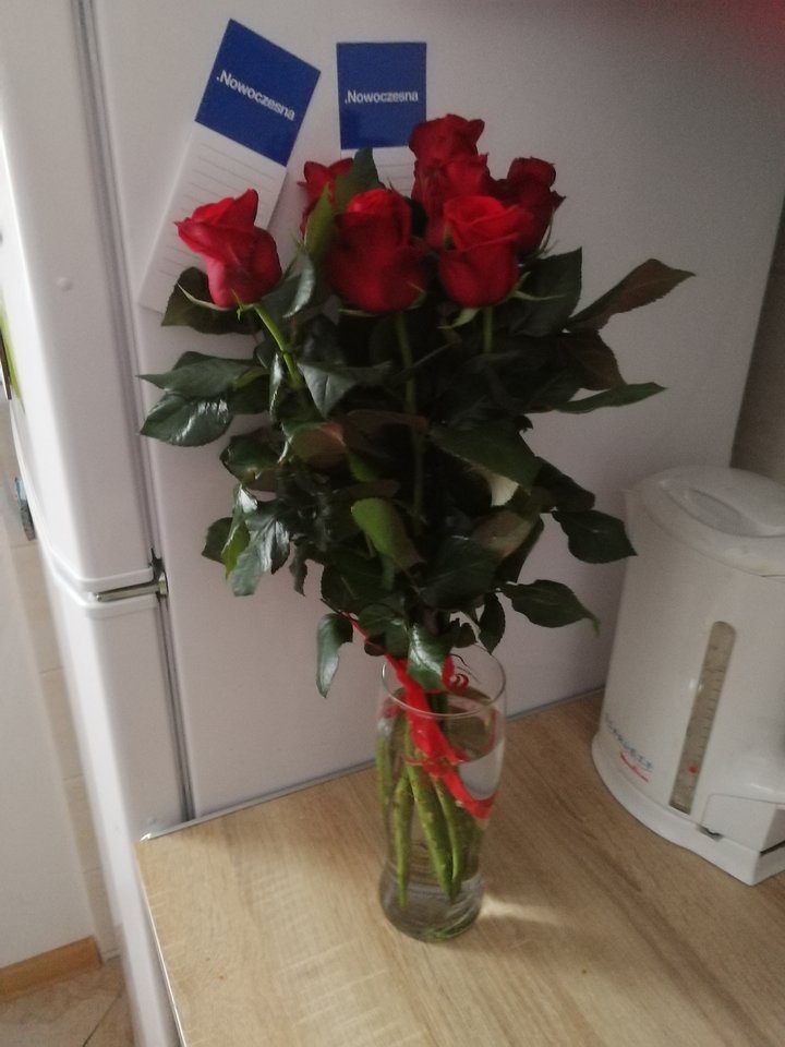 A jednak dżentelmeni jeszcze nie wygineli :) - PuszystaCipka